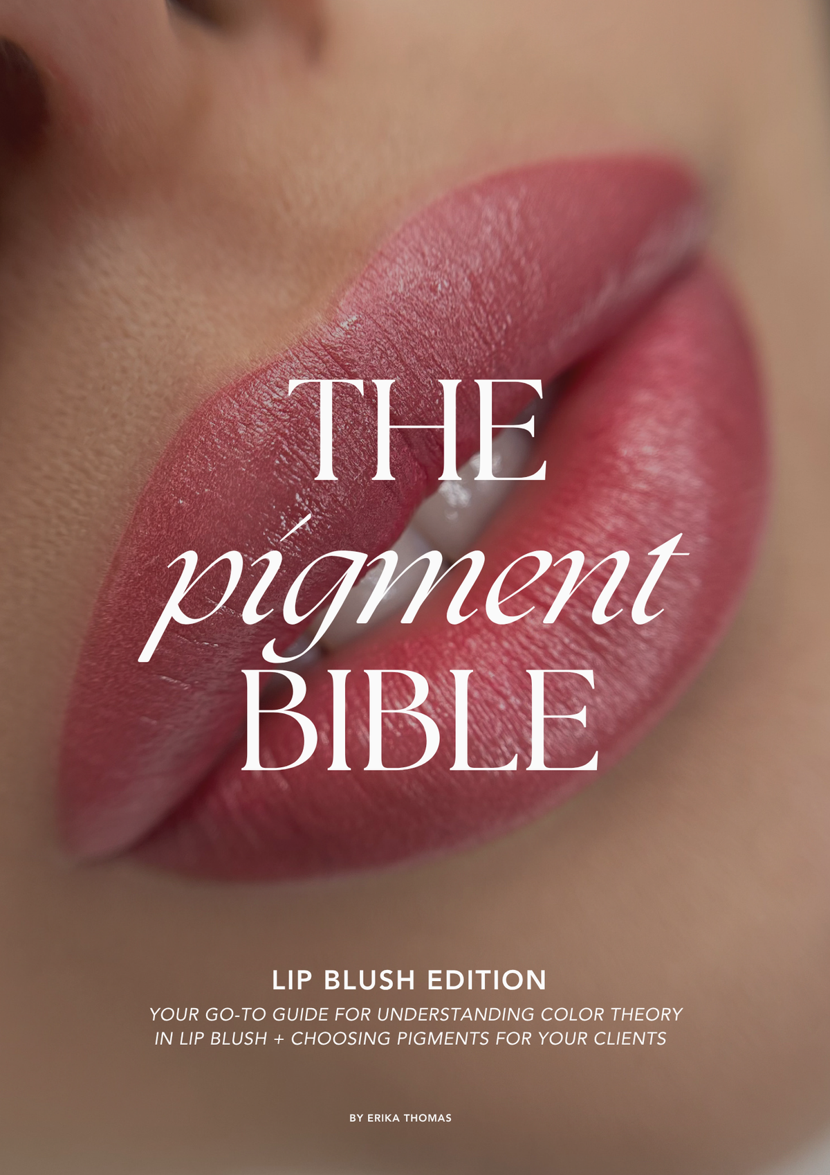 THE PIGMENT BIBBLE : LIP BLUSH EDITION
